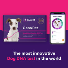 Charger l&#39;image dans la galerie, Geno Pet Dog Breed Identification DNA test

