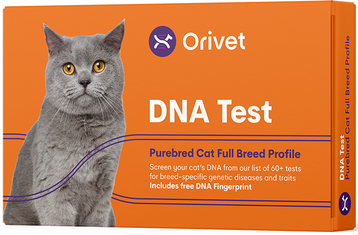 Purebred Cat Full Breed Profile
