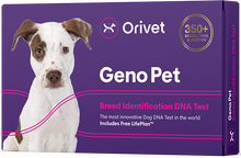 Charger l&#39;image dans la galerie, Geno Pet Dog Breed Identification DNA test
